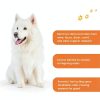 Jumbl Pets Stain Odor Remover Pet Cleaning Spray USA Made-1