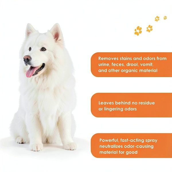 Jumbl Pets Stain Odor Remover Pet Cleaning Spray USA Made-1