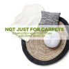Amaziing Solutions Enzyme Pet Stain Remover Carpet Cleaner-4