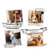 OMI Pet Stain Remover Enzyme Spray Odor Eliminator-2