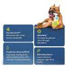 Pet Stain Remover for Dogs Cats Small Animals Odor-1