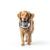 Pet Safe Cleaner Foam Mousse Pet Bowl Odor Remover-2